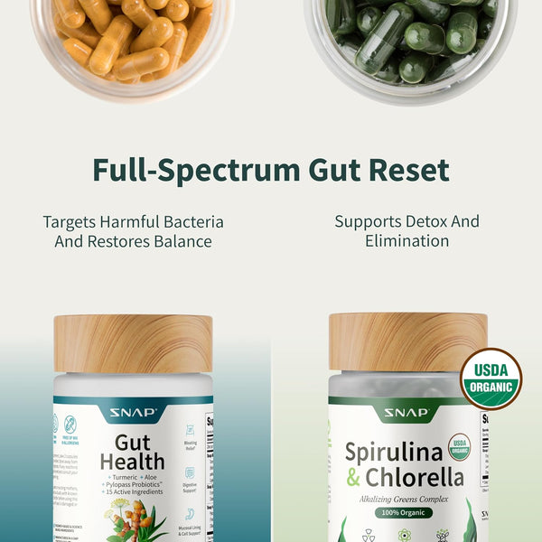 Gut Health & Energy Boost Bundle